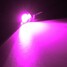 Eagle Eye Lamp For Motorcycle Car 2pcs DC 12V LED License Plate Light Screw Bolt Pink - 9