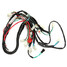 Wiring Harness Loom Kit Go Kart Pit Bike ATV Start Switch 50cc 110cc 125cc - 3