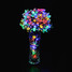 Outdoor 20led Sky Lamps Decoration Bulb 4.8m Led Solar Star - 3