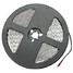 Lights 3528 SMD LED Flexible Strip 5M - 6