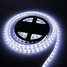 12v 5m Cool White Light Led Strip Lamp 300x5630 Waterproof 120w 100 - 2