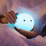 Touch Sensor Colorful Nightlight Intelligent - 7