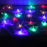100 Garden Light Dragonfly Colour Led Lights Solar - 2