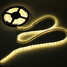 3528 SMD Warm White 500CM 18W 5M LEDs LED Strip Lights - 2