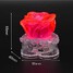 Colorful Rose Crystal Novelty Lighting Christmas Light Led Decoration Atmosphere Lamp - 4
