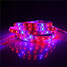 Led Waterproof 5m House Strip Flexible Flowering Dc12v - 9