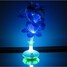 Flowers Optical Vase Led Night Light Flower Fiber Colour - 3