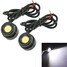 LED Eagle Eye Bulbs DC 12V Car White 1.5W Reverse Tail Light DRL 2 X - 1