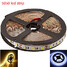 Dc12v Cool White Led Strip Light Color Led Warm Smd5050 5m - 1