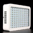 300w Full Spectrum Hot Grow Led Sale Quality - 3