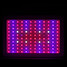 Chip Plants Double 100 Indoor And Led Grow Light High Spectrum - 1