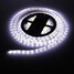 Cool White Light Led 100 5m Zdm Strip Lamp 12v - 2