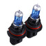 Bulbs White 100W HB2 Halogen Xenon Low Beam Light 6000K - 2