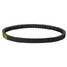 NSS250 Clutch Transmission Belt Drive Honda Strap - 2