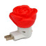 Rose 5pcs Small 1w Night Light 80lm - 3