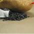 Up Absorb Clean WenTongZi Home Bamboo Charcoal Bag Gecko Deodorant Car Air Freshener Odor - 12