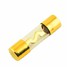 AGU Fuse 100A Tube Tone Gold Clear Glass Car Automobile - 2