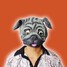 Animal Costume Party Face Mask Dog Cat Wolf Halloween Latex Lion - 5
