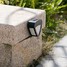 Path Fence Light 2-led Landscape Outdoor Led Solar Garden Lamp - 7