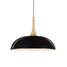 Modern Simplicity Artistic Black Finish Wooden Pendant Lamp Light Mini Droplight - 1