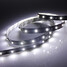 100 2w 12v Strip Lamp Zdm 60x3528smd White Light Led 100cm - 3