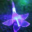 5m Solar Night Light Waterproof Outdoor Creative Small String Light - 3