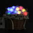 Christmas Holiday Decoration Light Waterproof Plug Rose Led 100-led 10m - 8