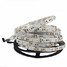 Garden Rope Light Strip Dc12v 5m Home - 9