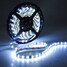 12V Super Bright LED White 5050 SMD 5M Waterproof - 1