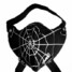 Rock Halloween Party Hip-hop Motorcycle Riding Spider Punk Web Mask Face Mask - 3