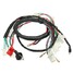 Quads Electric Wiring Harness Loom Chinese Start 50cc 70cc 90cc 110cc 125cc - 1