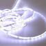 Dc12v Cool White 5m Zdm 50w Warm White Smd - 7