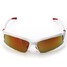 Professional Polarized Goggles Driving Motorcycle Glasses Sports - 4