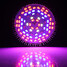 Blue E27 Full Led Grow Light Ac85-265v Spectrum White Led - 2