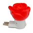 Rose 5pcs Small 1w Night Light 80lm - 2