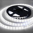 Dc12v Smd 6000-6500k 5m Strip Light White Light Led 3200k Warm White - 5