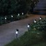 Stainless White Steel Pack Led Garden Lawn Solar Powered - 3