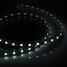 1m Plug Waterproof 220-240v 9w White Light Led 60x5050smd Strip Light - 1