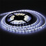 300led Smd3528 Color Waterproof 5m Dc12v Warm Cool White Strip Light - 2