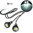 Car Reverse 5630 Lights 12V 10W LED Eagle Eye Decorative Interior Door Lamp Motorcycle - 4