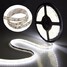 5M Waterproof 12V Cool White Flexible LED Strip Light Decoration Lights - 3