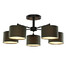 White Inch Fixture And Black Light Ceiling Light - 1