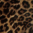 Tinting Waterproof Print DIY Film Vinyl Leopard Sheet Wrap Sticker - 3