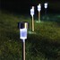 Stainless White Steel Pack Led Garden Lawn Solar Powered - 2