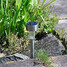 8 Pcs Garden Light Solar Solar Lawn Light Bright Garden Lamp Led - 5
