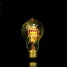 Silk A19 25w Edison Bubble Lamp Ball Bofa 85v-265v - 1
