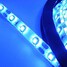 300led Waterproof Strip Light Dc12v Ip68 Blue 5m 30w 3528smd - 6