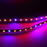 Led Waterproof 5m House Strip Flexible Flowering Dc12v - 2