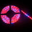 300leds System 1pcs Full Led Strip Light - 7