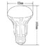 Ac 220-240 V E26/e27 Led Globe Bulbs 5w Warm White Cool White Decorative 420lm Smd - 5